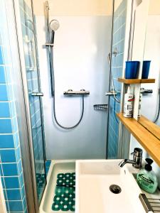 a small bathroom with a shower and a sink at Freiburg citynah - hell, ruhig, gemütlich in Freiburg im Breisgau