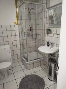 een badkamer met een douche, een toilet en een wastafel bij Gemütliche Einliegerwohnung im Fachwerkhaus in Bröckel