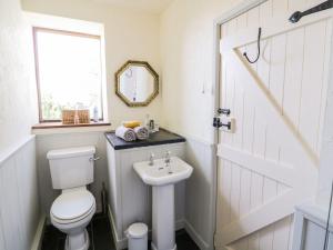 a bathroom with a toilet and a sink at Pandy Farmhouse - Panoramic mountain views within Snowdonia's National Park - 4x4 recommended in Dolgellau