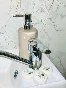 ein Waschbecken mit einem Wasserhahn und einer Flasche Seife in der Unterkunft De-Luxe-Apartment im Zentrum in Ravensburg