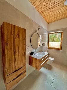 a bathroom with a sink and a mirror at ALPS Apartments in Kranjska Gora
