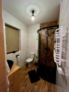 a bathroom with a shower and a toilet in it at Domek Między Górami in Łapsze Niżne
