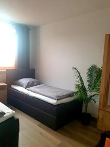 een slaapkamer met een bed en een potplant bij Auszeit in Plauen