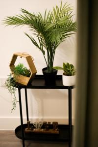 a table with potted plants on top of it at The Madison Apartment by GGE, Hemel Hempstead Town Centre, Contractors Welcome, Sleeps 6 in Hemel Hempstead