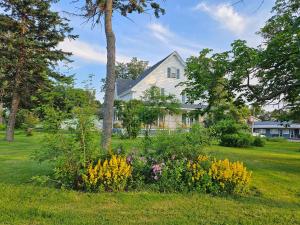 薩默塞德的住宿－Sunflower Guest Suites，院子里的白色房子,鲜花盛开