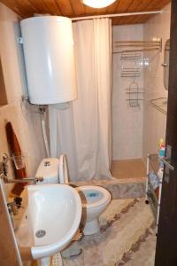 利托斯基簡的住宿－Chata Zuzana，浴室配有卫生间、盥洗盆和淋浴。