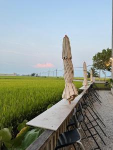 a row of tables with umbrellas next to a field at MostPopular!!! Hay Cafe TranquilFields - OnlyYou with Hay, Rentable For Event in Sekincan