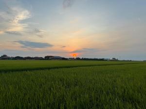 Alba o tramonto visti dall'interno del campeggio o dai dintorni