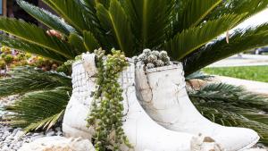 A garden outside Villa Son Fanals