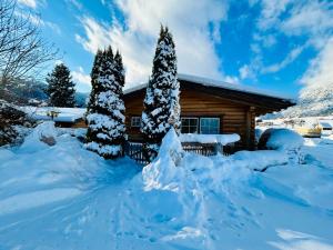 Almdorf im Winkl - Blockhüttendorf in Gröbming durante l'inverno
