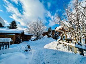 Almdorf im Winkl - Blockhüttendorf in Gröbming durante l'inverno