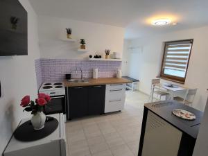 Kuchyň nebo kuchyňský kout v ubytování Apartmán na Karlíčku