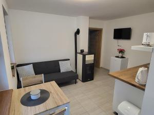 Kuchyň nebo kuchyňský kout v ubytování Apartmán na Karlíčku