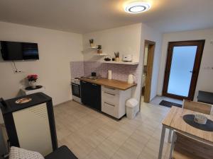 Kuchyň nebo kuchyňský kout v ubytování Apartmán na Karlíčku