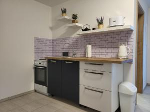 Kuchyň nebo kuchyňský kout v ubytování Apartmán na Karlíčku