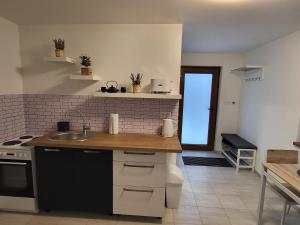 Kuchyň nebo kuchyňský kout v ubytování Apartmán na Karlíčku