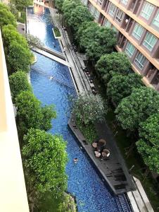 Foto sihtkohas Kathu asuva majutusasutuse Cozy and delightful with pool view galeriist