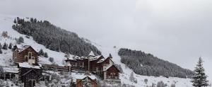 Το T3 Les deux Alpes Vallée Blanche τον χειμώνα