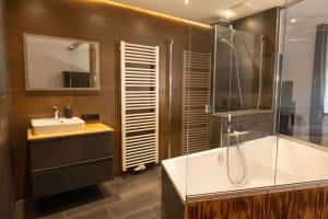 a bathroom with a tub and a sink and a shower at Loft Apartment mit großer Badewanne B in Mügeln