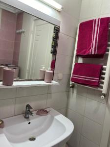 y baño con lavabo, espejo y toallas rosas. en Appartement L'aouina cité wahat en Túnez