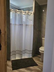 y baño con cortina de ducha blanca y aseo. en Tierra Adentro Bed and Breakfast, en Naguabo