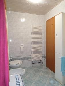 耶塞尼采的住宿－Apartma ČVRSTA TROJKA，一间带卫生间和毛巾架的浴室