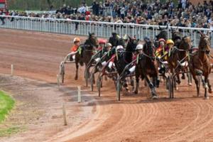 a group of horses racing on a race track at Appartement indépendant. in Beaumont-de-Lomagne
