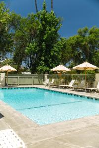 a swimming pool with chairs and umbrellas at Hummingbird Inn in Ojai