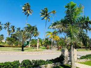 un parque con palmeras y una carretera en Casa MB1, Los Cabos Residential, en Cabrera