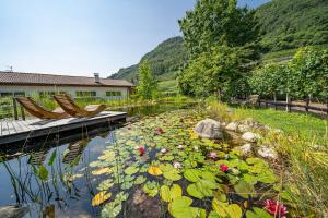 a pond with lilies and two chairs on a dock at Ferienwohnungen Rebmannhof in Lana