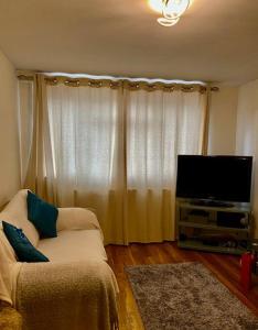a living room with a couch and a flat screen tv at Lovely, spacious 1-bedroom apartment with *free parking in Manchester