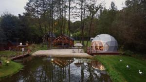 a dome tent is sitting next to a pond at Domki i Glamping Nałęczów - Pod Łysą Górą in Nałęczów