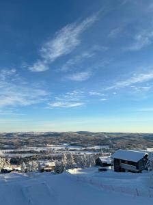 - une vue sur une ville enneigée et ses bâtiments dans l'établissement Toppvillan - Ski In - Ski Out - 200 m till toppen och cykelleder, à Järvsö