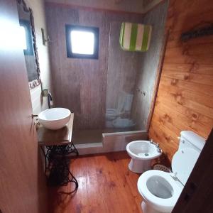 Łazienka z białą toaletą i umywalką w obiekcie Cabañas Los Ñires w mieście Moquehue