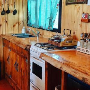 a kitchen with a stove and a counter top at Cabañas Los Ñires in Moquehue