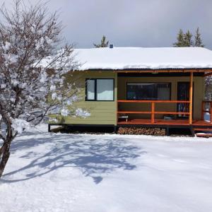 ein gelbes winziges Haus im Schnee mit einem Baum in der Unterkunft Cabañas Los Ñires in Moquehue