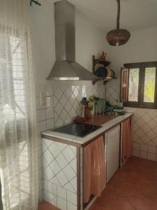 uma cozinha com um lavatório e um fogão em Cuevas del Sol em Gorafe