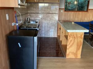 a small kitchen with a sink and a refrigerator at Departamentos y Cabañas tres espinos altos in Valdivia