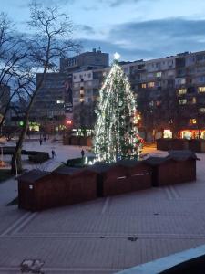 een kerstboom op een plein in een stad bij Уютен 2-стаен Апартамент в Центъра на Добрич in Dobrich