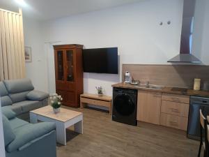 a living room with a couch and a kitchen with a dishwasher at ApartamentosTuristicos Avila Puerta del Alcazar 0-1 in Ávila