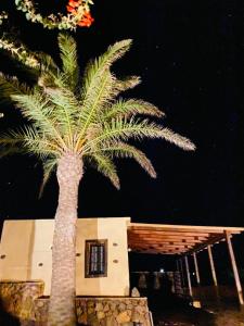 uma palmeira em frente a uma casa à noite em Erbania Heritage, naturally em Puerto del Rosario