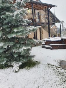 eine schneebedeckte Kiefer vor einem Haus in der Unterkunft CASA LAURENTIU in Borşa