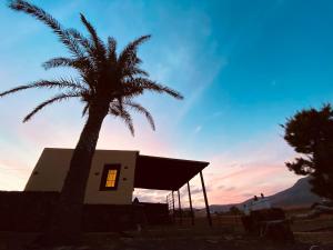 a palm tree in front of a house with the sunset at Erbania Heritage, naturally in Puerto del Rosario