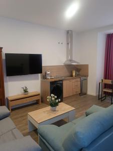 アビラにあるApartamentosTuristicos Avila Puerta del Alcazar 0-1の青いソファとキッチンのあるリビングルーム