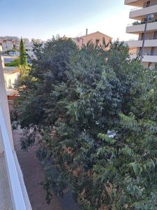 Zdjęcie z galerii obiektu IN Split w Splicie