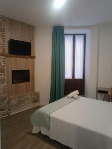 a bedroom with a large bed and a fireplace at ApartamentosTuristicos Avila Puerta del Alcazar 0-1 in Ávila