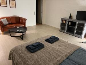 Vester-Skerninge的住宿－Bed House By Me K5-1，客厅配有带2个枕头的床