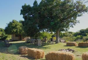 un groupe de balles de foin dans un champ avec un arbre dans l'établissement Citrino - Alojamiento Responsable en la naturaleza, à Bella Vista