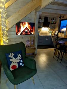 a living room with a green chair and a fireplace at Domek pod Ostoją Góry Sowie in Łomnica