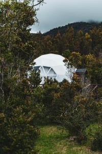 ein weißes Kuppelzelt inmitten eines Waldes in der Unterkunft Huiro Lodge in Puerto Corral